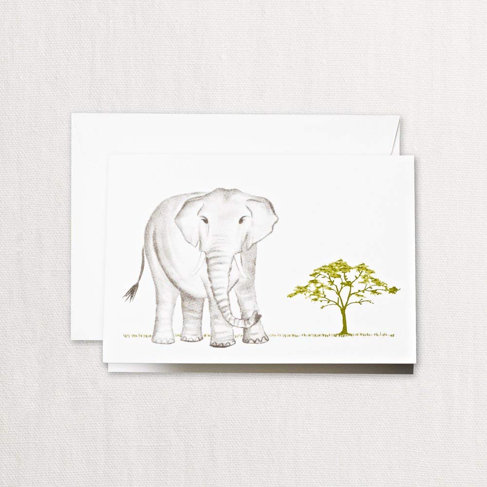 Brushstroke Elephant Note- Pack of 10 Cards