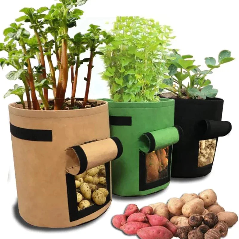 Greenhouse Vegetable Plant Grow Bags