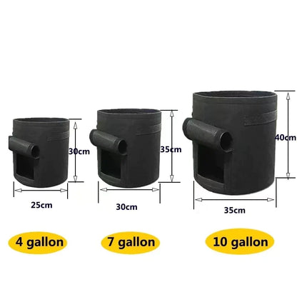 Greenhouse Vegetable Plant Grow Bags